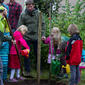 children harvest apples from tree