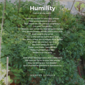 season of creation - humility