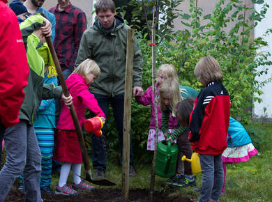 children harvest apples from tree