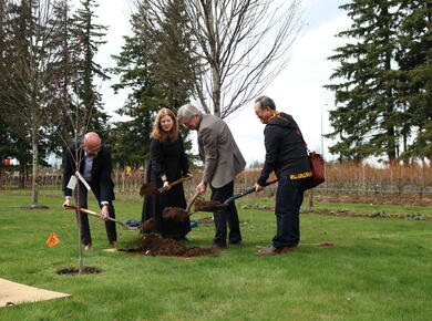 tree planting