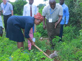 two people planting a tree