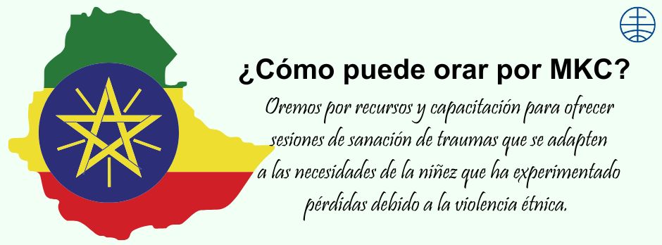 Oremos por recursos y capacitación para ofrecer sesiones de sanación de traumas que se adapten a las necesidades de la niñez que ha experimentado pérdidas debido a la violencia étnica. 